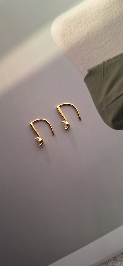 Gem Crystal Hook Earrings