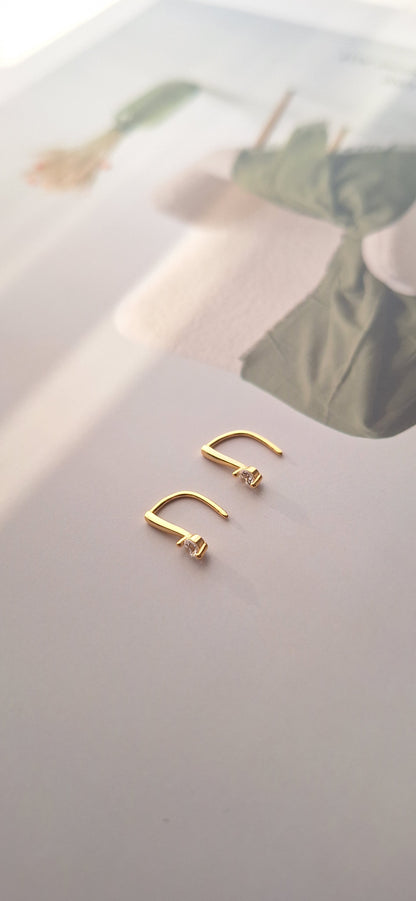 Gem Crystal Hook Earrings