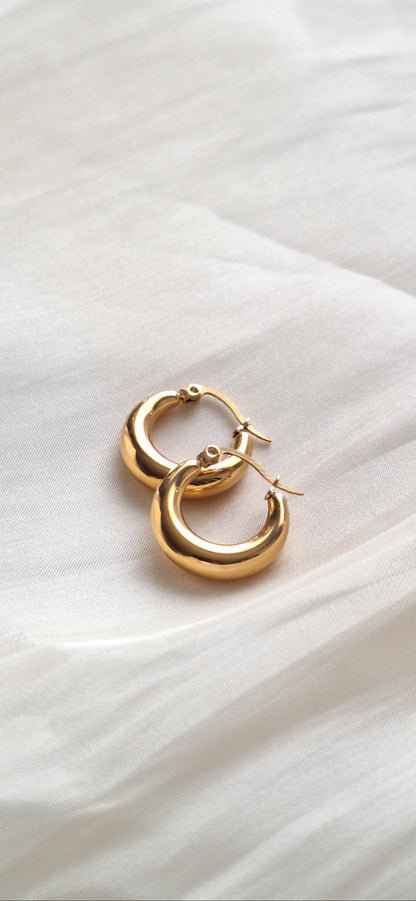 Classic Hoop Earrings