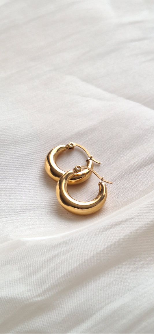 Classic Hoop Earrings