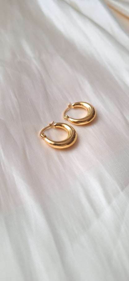 Classic Hoop Earrings